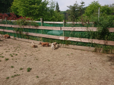 f:id:roukenhome-ann:20190512152900j:plain