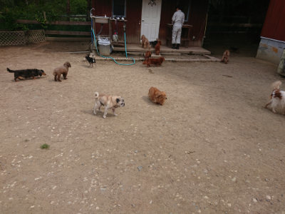 f:id:roukenhome-ann:20190512152905j:plain