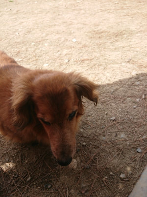f:id:roukenhome-ann:20190512152922j:plain