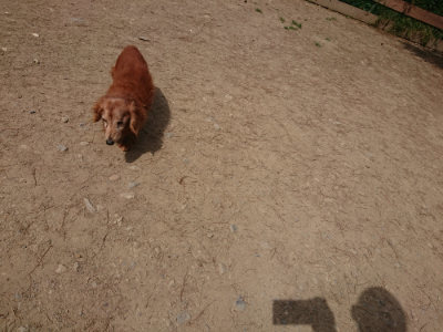 f:id:roukenhome-ann:20190512152938j:plain