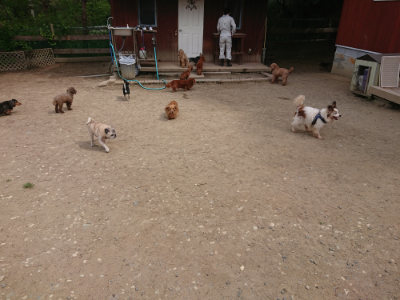 f:id:roukenhome-ann:20190512152945j:plain