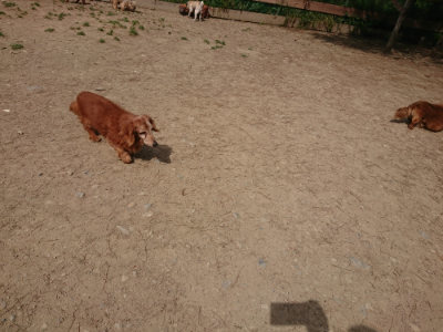 f:id:roukenhome-ann:20190512152951j:plain