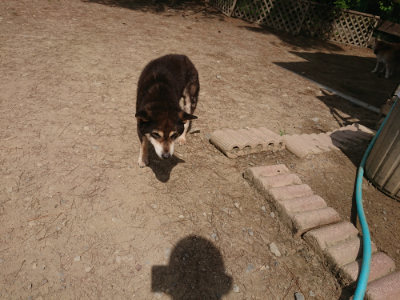 f:id:roukenhome-ann:20190512153013j:plain