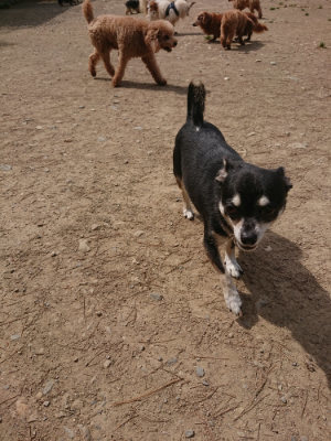 f:id:roukenhome-ann:20190512153025j:plain