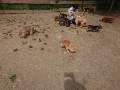 f:id:roukenhome-ann:20190512153035j:plain