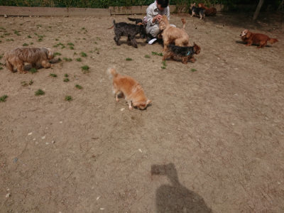 f:id:roukenhome-ann:20190512153047j:plain