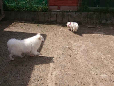 f:id:roukenhome-ann:20190512153053j:plain