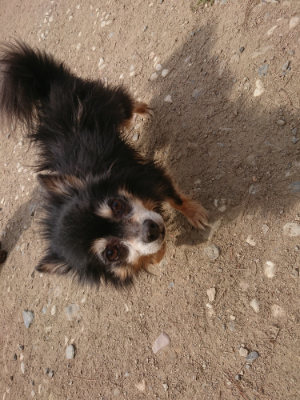 f:id:roukenhome-ann:20190512153105j:plain