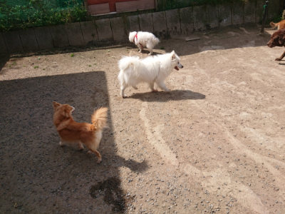 f:id:roukenhome-ann:20190512153110j:plain