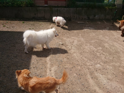 f:id:roukenhome-ann:20190512153125j:plain