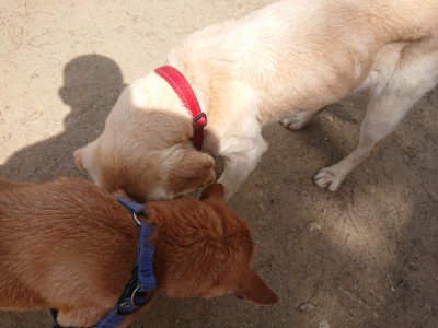 f:id:roukenhome-ann:20190512153214j:plain