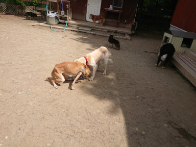 f:id:roukenhome-ann:20190512153230j:plain