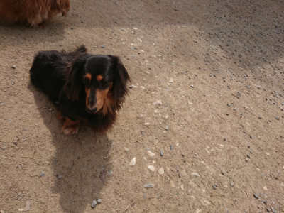 f:id:roukenhome-ann:20190512153245j:plain