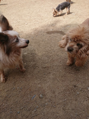 f:id:roukenhome-ann:20190512153301j:plain