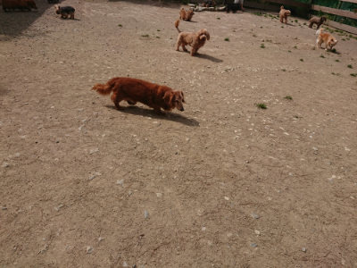 f:id:roukenhome-ann:20190512153317j:plain