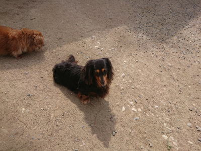 f:id:roukenhome-ann:20190512153322j:plain