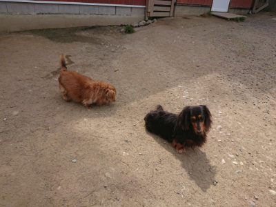 f:id:roukenhome-ann:20190512153337j:plain