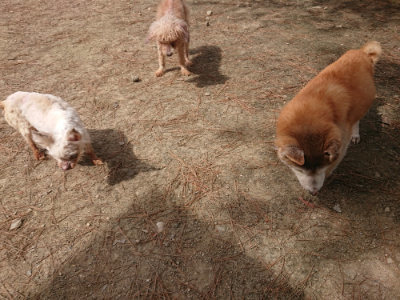 f:id:roukenhome-ann:20190512153407j:plain
