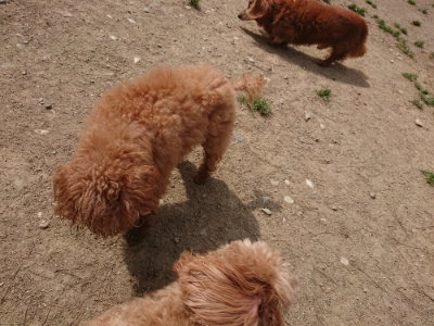 f:id:roukenhome-ann:20190512153411j:plain