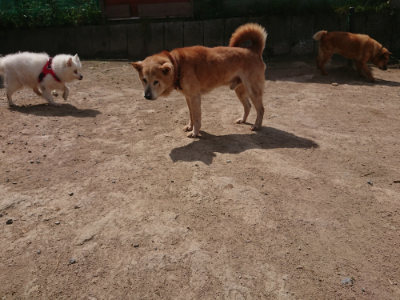 f:id:roukenhome-ann:20190512153432j:plain