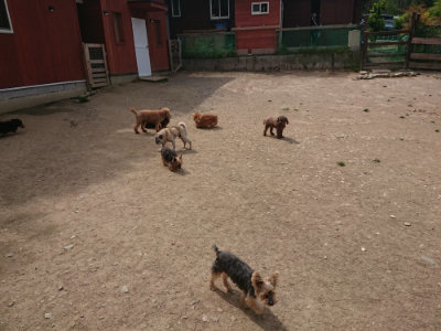 f:id:roukenhome-ann:20190512153453j:plain