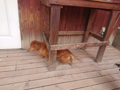 f:id:roukenhome-ann:20190512153556j:plain