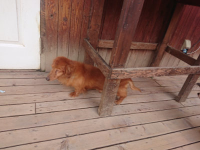 f:id:roukenhome-ann:20190512153601j:plain