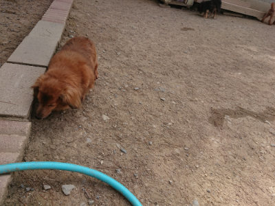 f:id:roukenhome-ann:20190512153611j:plain