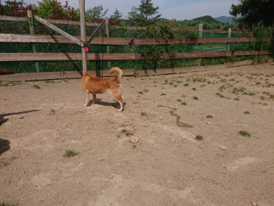 f:id:roukenhome-ann:20190512153621j:plain