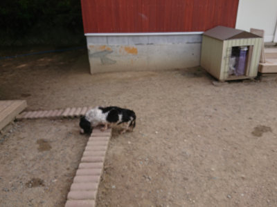 f:id:roukenhome-ann:20190512153641j:plain