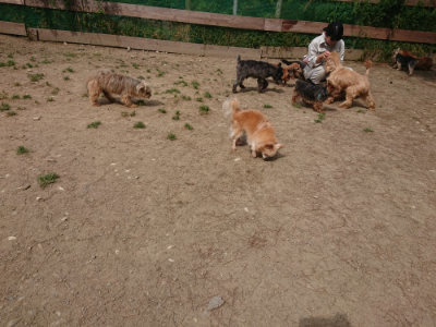 f:id:roukenhome-ann:20190512153645j:plain