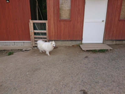f:id:roukenhome-ann:20190512153655j:plain