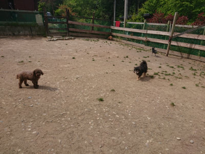 f:id:roukenhome-ann:20190512153706j:plain