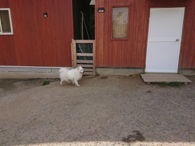 f:id:roukenhome-ann:20190512153711j:plain