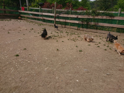 f:id:roukenhome-ann:20190512153721j:plain