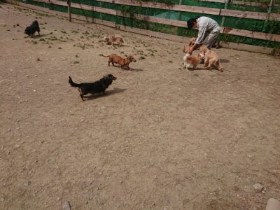 f:id:roukenhome-ann:20190512153754j:plain