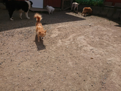 f:id:roukenhome-ann:20190512153759j:plain