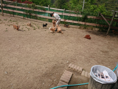f:id:roukenhome-ann:20190512153804j:plain