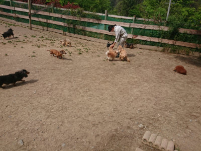 f:id:roukenhome-ann:20190512153809j:plain