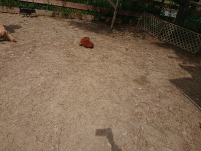 f:id:roukenhome-ann:20190512153825j:plain
