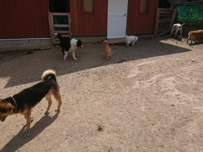 f:id:roukenhome-ann:20190512153830j:plain