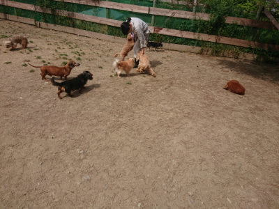 f:id:roukenhome-ann:20190512153845j:plain