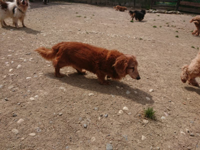 f:id:roukenhome-ann:20190512153859j:plain