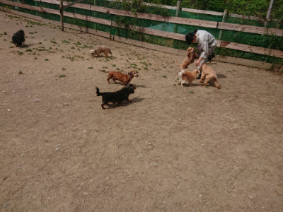 f:id:roukenhome-ann:20190512153907j:plain