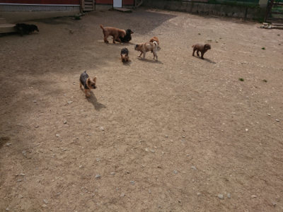 f:id:roukenhome-ann:20190512153917j:plain