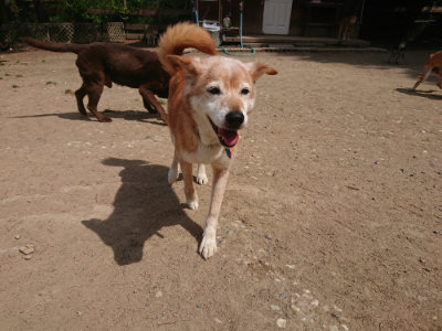 f:id:roukenhome-ann:20190512153942j:plain