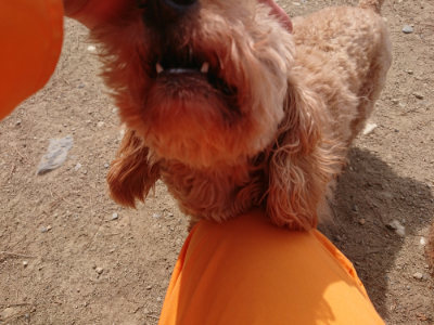 f:id:roukenhome-ann:20190512153947j:plain