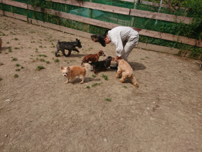 f:id:roukenhome-ann:20190512153952j:plain