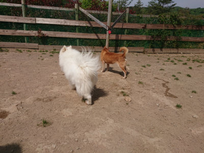 f:id:roukenhome-ann:20190512153957j:plain