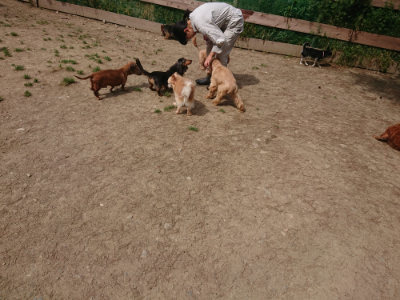 f:id:roukenhome-ann:20190512154011j:plain